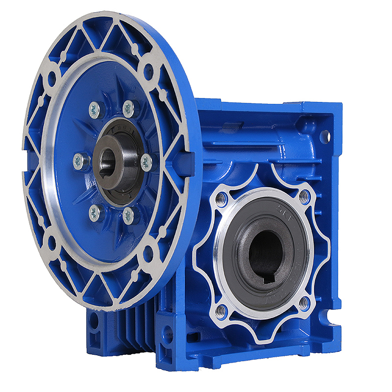 Schneckengetriebemotor